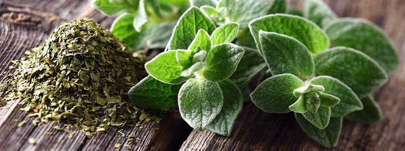 Lien vers présentation de l'aromathérapie et de ses bienfaits