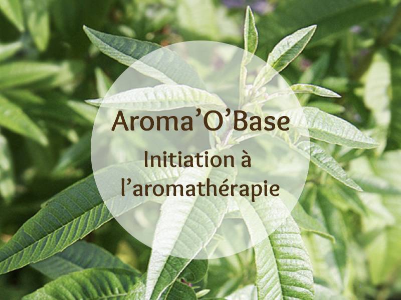 Cette image représente l'Aroma'O Base, formation d'initiation à l'aromathérapie