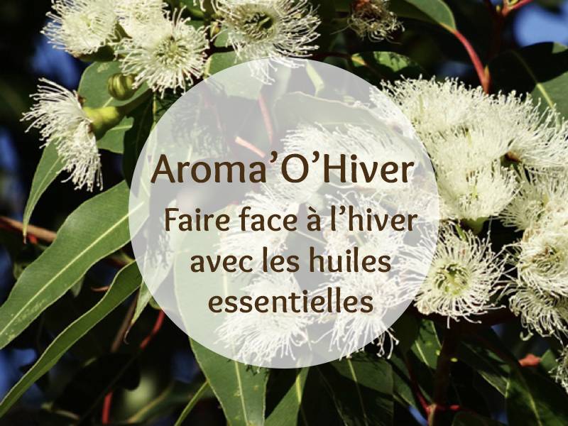 Cette image représente la formation Aroma'O Hiver pour faire face à l'hiver avec les huiles essentielles