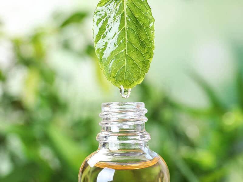 L’aromathérapie est une science naturelle qui traite de manière holistique les troubles et maladies avec les huiles essentielles.