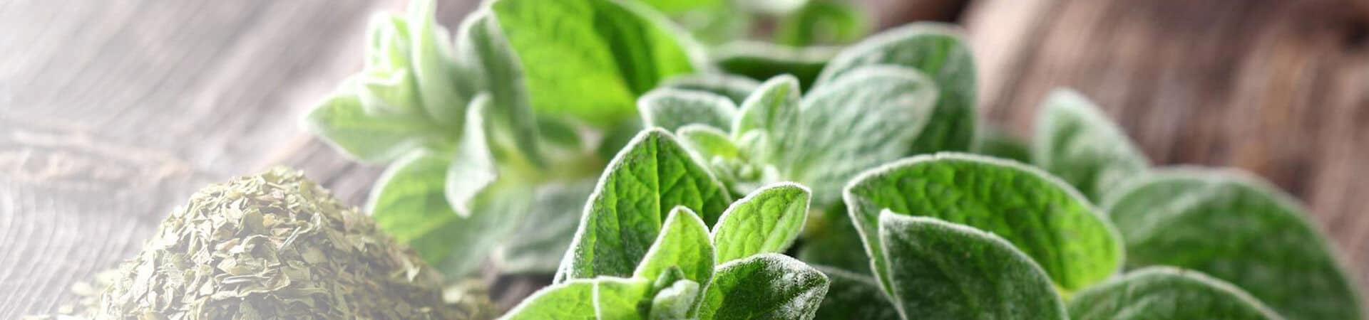 Aroma'O - Marie Aude Le Ber - Consultation en aromathérapie