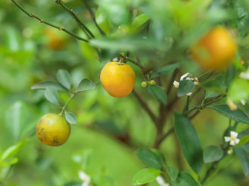 contacter Marie-Aude Le Ber pour plus d'informations - version mobile