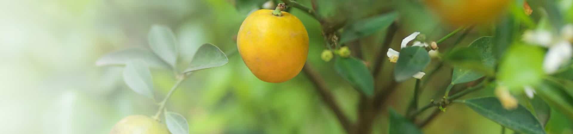 contacter Marie-Aude Le Ber pour plus d'informations