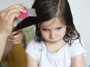 Les huiles essentielles pour se débarrasser des poux