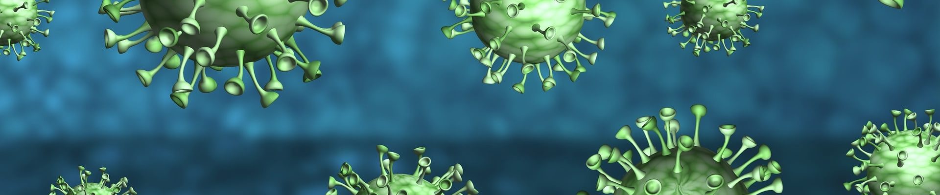 Comment prendre soin de son système immunitaire avec les huiles essentielles